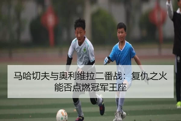 ma-ha-qie-fu-yu-ao-li-wei-la-er-fan-zhan-fu-chou-zhi-huo-neng-fou-dian-ran-guan-jun-wang-zuo-2-316.jpg