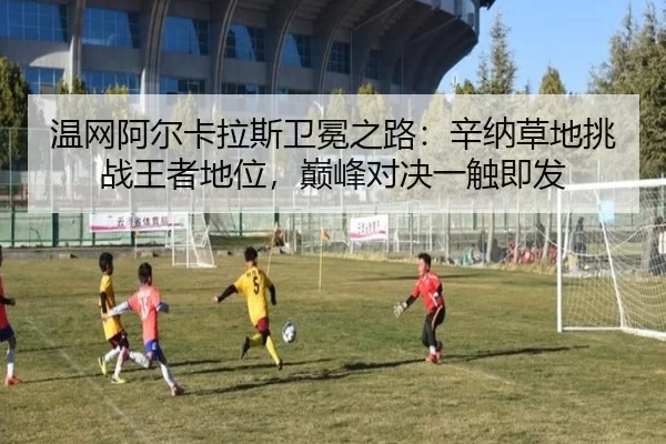 wen-wang-a-er-ka-la-si-wei-mian-zhi-lu-xin-na-cao-di-tiao-zhan-wang-zhe-di-wei-dian-feng-dui-jue-yi-chu-ji-fa-2-422.jpg